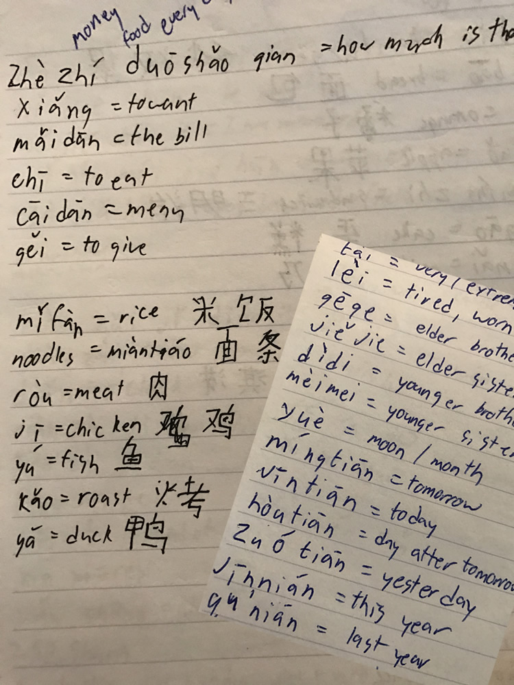 chinese notes.jpg