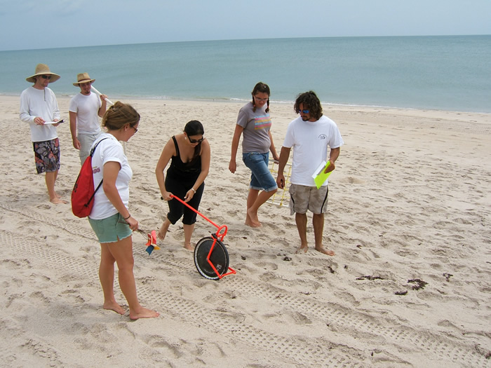 Beach wrack survey 01.jpg
